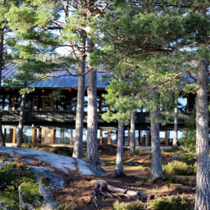 Utsikt över tallar från Matsalen