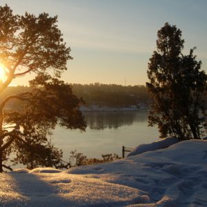 Vinter Djurönäset