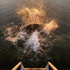 Djurönäset bad sommar bastu
