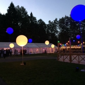 Folkparken_djuronaset_event