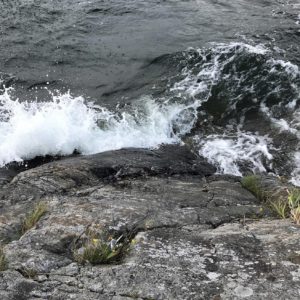Hav Djurönäset