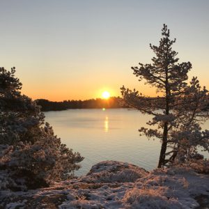 Vinter Djurönäset