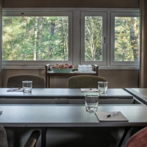 Djurönäset konferens