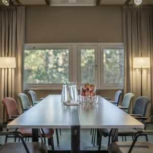 Djurönäset konferens