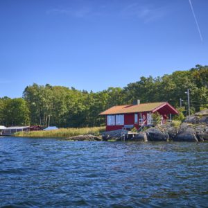 Vedeldad bastu